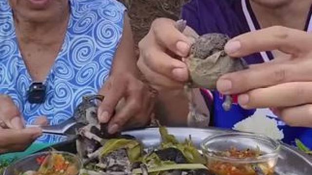 泰国林蛙 #舌尖上的味道 #农村美食记录生活 #爱生活爱美食 #把家乡的味道分享给大家 #我的农村生