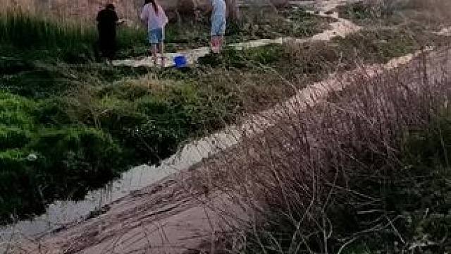 我发布了一个新视频，快来围观吧！