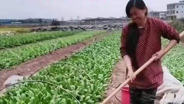 山卡卡里的农村大姐学费了开直播每天收获满满您还在恐播怕播不敢开播开播了不知说什么吗#记录真实生活 #