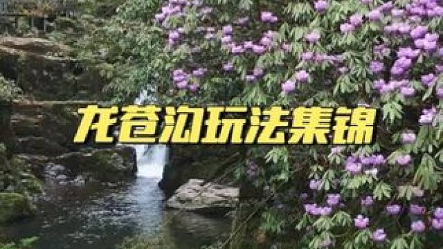 是谁把春天撕开了一页？ 杜鹃花开正好，龙苍沟徒步拿奖走起！#安逸四川dou来耍 #很哇塞的周末 #我