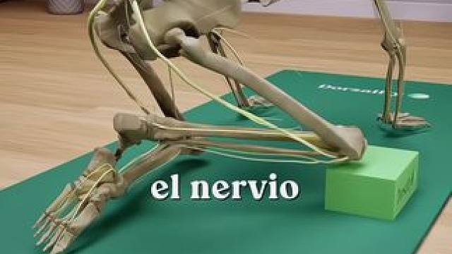 如何让你的瑜伽体式稳定进步？ #瑜伽教学 #瑜伽打卡 #瑜伽体式分享