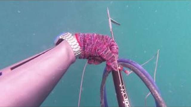 烧了最多的油 跑到最远的菜地 本以为要大开杀戒 没想到我才是那个小丑#鱼获满满 #渔猎#自由潜水