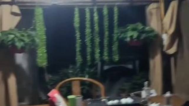 #生活如此简单 #静心养性 ……