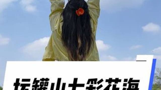 谁说坛罐山不美啦，来看看我的#坛罐山#坛罐山花海 #坛罐山花海乐园 #踏春赏花 #万物皆可种草搜