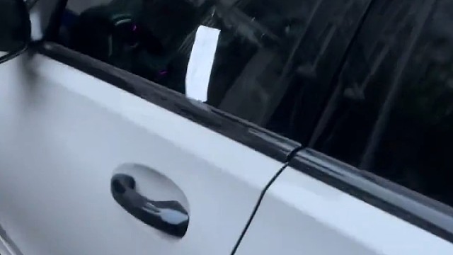 猫：真给你打了你又不乐意了