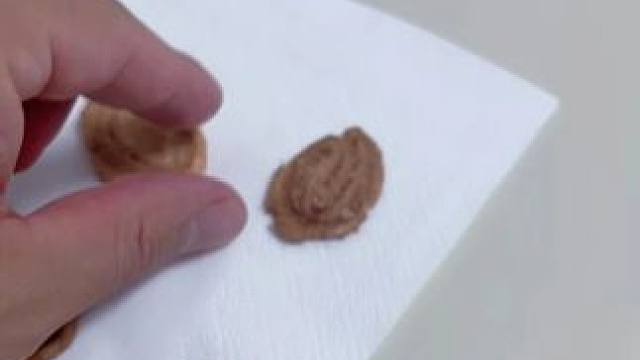 家里的宠物这么多啊 
