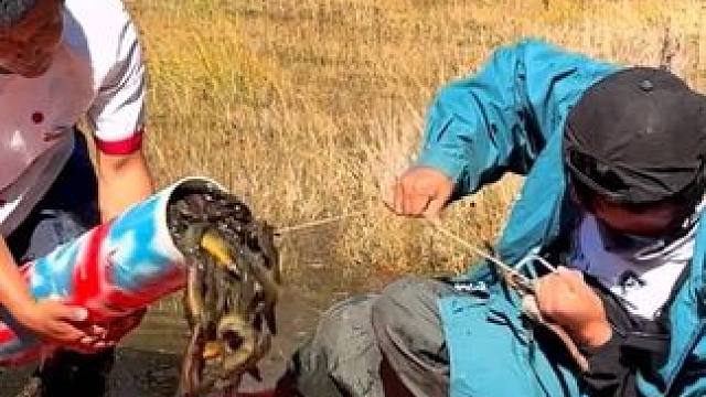 #户外捕鱼 #好多鱼