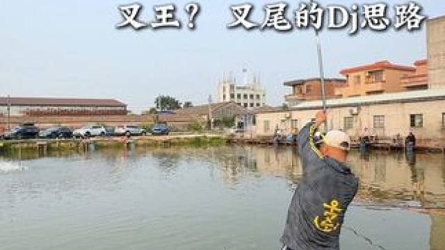 今天这个大叉叉着实有点费手、不过很过瘾、很爽、很刺激！ 