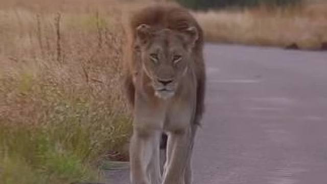 S90今天早上H6上的美女男