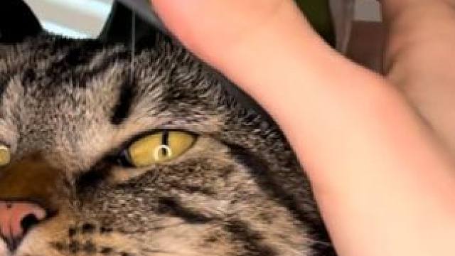 戴上之后，气质拉满了~ #玩个很新的东西 #毁灭战士