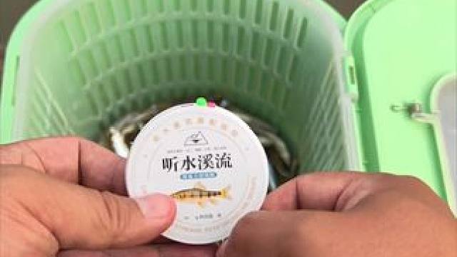 台式溪流钓线组 改良后的台式溪流钓线组水阻更新，配合钢脚漂能在流水大风天气内保持良好的直立状态，耐用