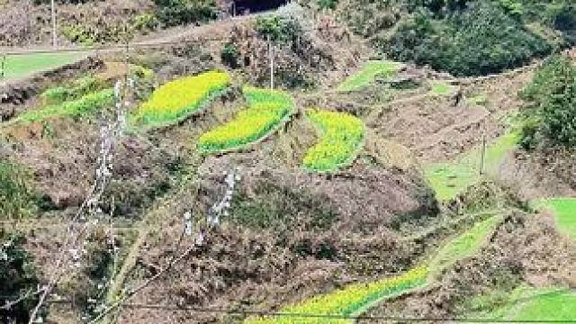 喜欢这种感觉，没有城市的拥挤和喧嚣，只有清新的空气和让人久违的宁静，坐在院子里，听听鸟叫，闻闻花香，