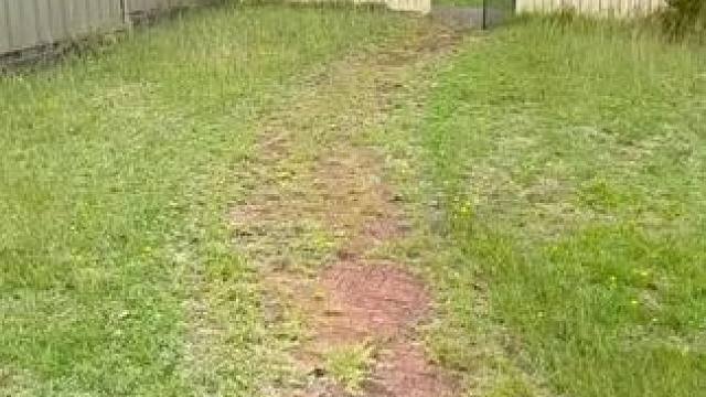 庭院解压除草很ok！ #强迫症看了很享受 #解压视频 #极度舒适 #省时省力