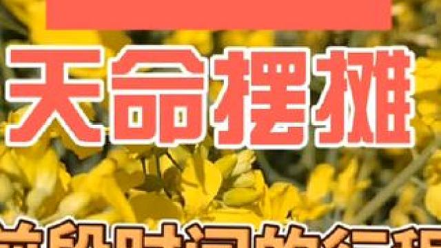 天命摆摊 记录摆摊的行迹#余姚 #摆摊 #记录摆摊生活 #周末去哪儿 #天命摆摊