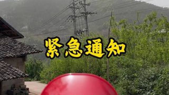 坦率说：就两个心愿 ---为家乡做点小事，如果能顺便赚点钱就更好了
 #我的乡村生活 #土鸡蛋 #优