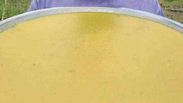 东南亚大叔 #我的农村生活 #农村美食记录生活 #舌尖上的味道 #把家乡的味道分享给大家 #内容启发