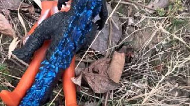 格丽乔奥特曼遇到了怪兽偷袭快来帮帮她吧#儿童玩具 #奥特曼 #奥特曼玩具