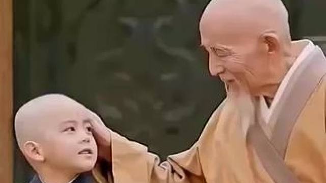 #猪 #生肖猪 #属猪