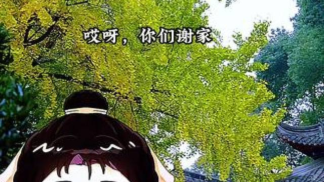 #财迷心窍 #广播剧 蔓播哒 小财迷太可爱了◍˃ᵕ˂◍，得加钱！哈哈哈哈