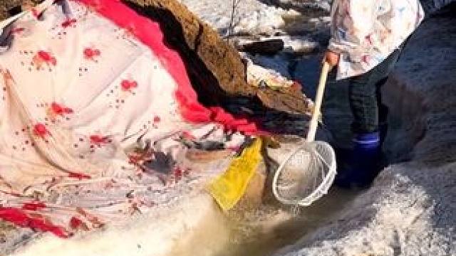 #户外捕鱼 #好多鱼