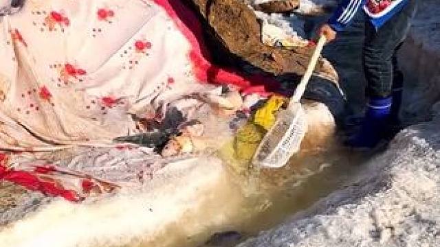 #户外捕鱼 #好多鱼