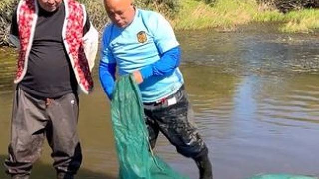 #户外捕鱼 #好多鱼