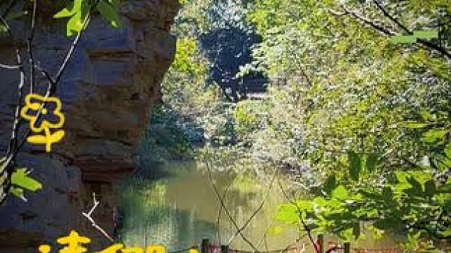 在这个发霉的世界里，希望你可以被阳光晒透
#养在九峰山 #旅行推荐官