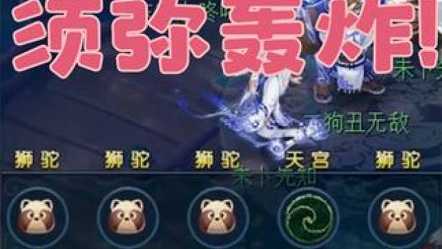 4狮驼配脱壳！须弥轰炸！偶遇殿堂队伍！ 