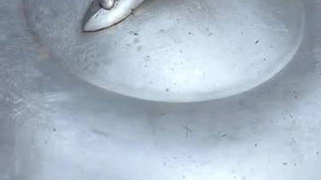 泰国林蛙 #农村美食记录生活 #爱生活爱美食