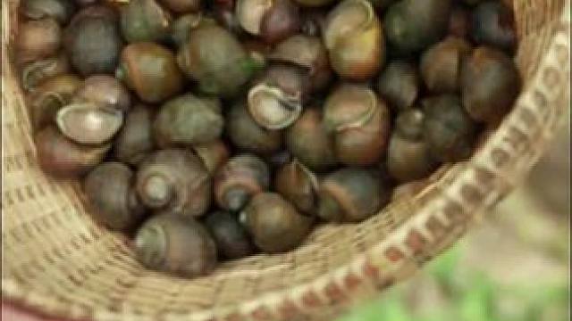 东南亚美女厨师 #我的乡村生活 #爱生活爱美食 #普通的饭菜都是家的味道 #朴实的