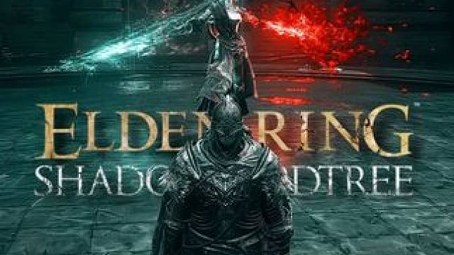 这到底是谁在战场上啊！#艾尔登法环