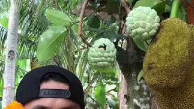 东南亚特色美食 #朴实的山里人 #记录农村生活大山里的生活 #把家乡的味道分享给大家 #舌尖上的味道