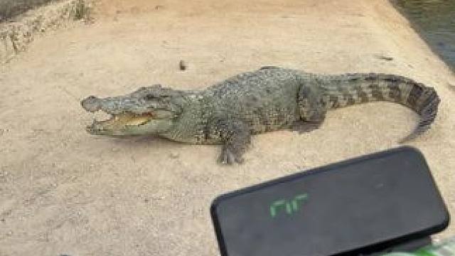 看来是想单挑啊#非专业人士请勿模仿