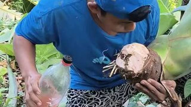 东南亚蔬菜哥 #我的农村生活 #记录农村生活大山里的生活 #把家乡的味道分享给大家 #我的乡野山居生