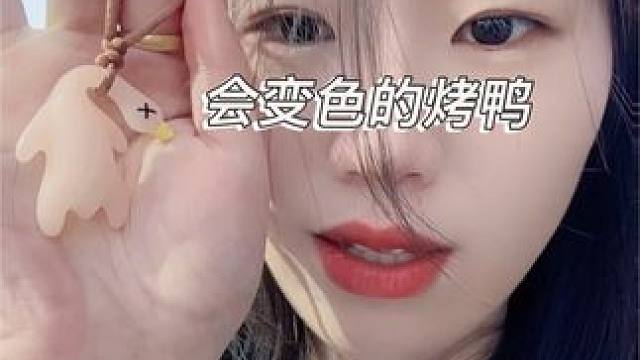 #烤鸭挂件 #家居必备好物 #种草好物推荐 #平价好物