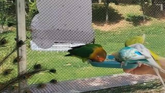 亲近大自然的一天！顺其自然，积极进取！#人与自然和谐共处 #万物皆有灵性 #太极 #太极拳 #九凤谷