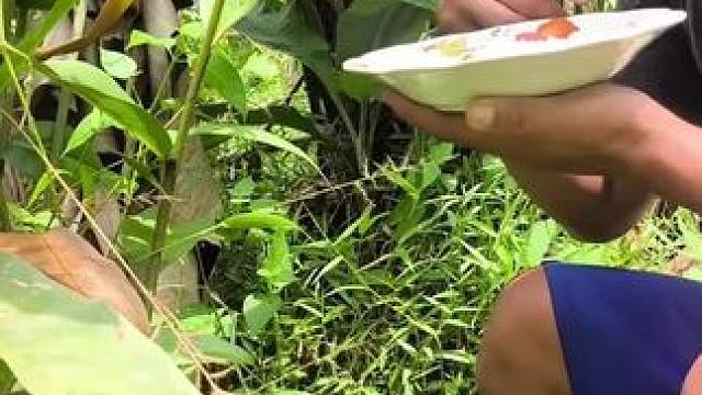 东南亚蔬菜哥 #我的农村生活 #农村美食记录生活 #把家乡的味道分享给大家 #记录云南农村日常生活 