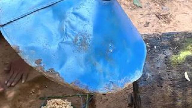 野生动物保护区 #野生动物零距离 #野外生活纪录片 #我的农村生活 #内容启发搜索