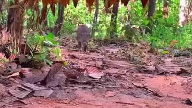 我发布了一个新视频，快来围观吧！