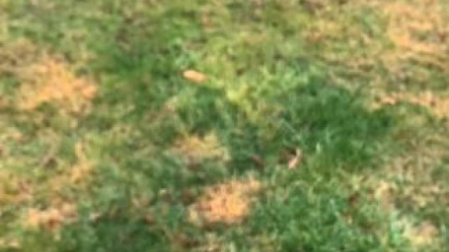 你最喜欢哪一把呢？？ #有男生会拒绝这个玩具吗  #酷炫 #玩具枪