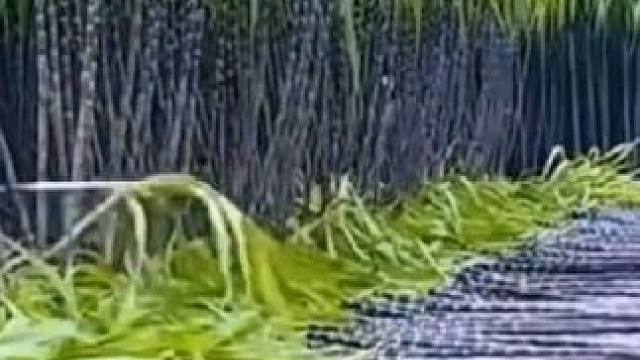 我发布了一个新视频，快来围观吧！