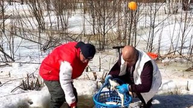 #户外捕鱼 #好多鱼