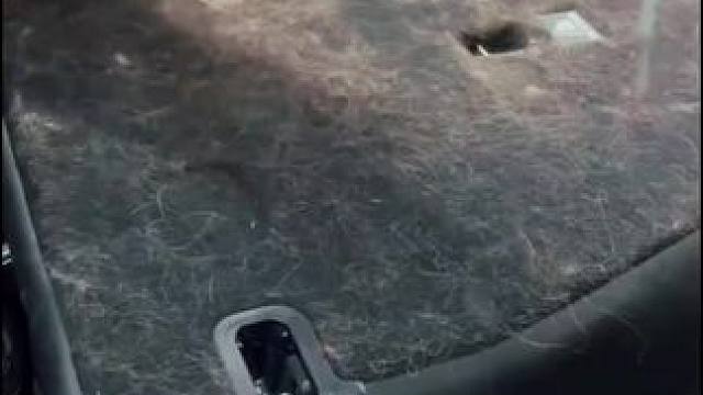 汽车脚垫、后备箱的猫毛狗毛就用这个刮就行了