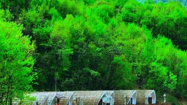 下一站 河南九峰山！
#养在九峰山 #治愈系风景