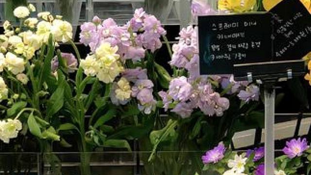 #短袖 #上衣穿搭 #平价好物 #每日穿搭分享 #慵懒风