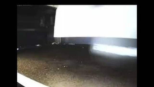 3D打印了一条双色龙~ #3d打印 #玩个很新的东西