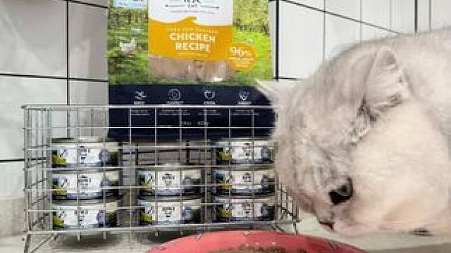 掌管猫咪味蕾的神，巅峰猫罐#猫粮 #猫罐头推荐 #巅峰猫罐头