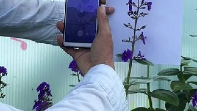 教你用一部手机和纯色背景色卡纸拍出高级唯美视频或照片，操作简单，新手小白一学就会#手机摄影 #拍摄技