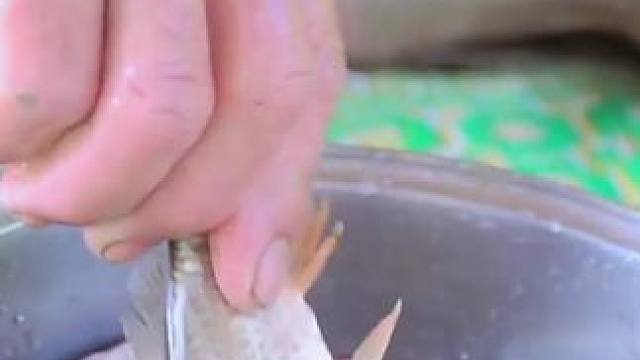 越南鱼生 #舌尖上的味道 #农村美食记录生活 #我的农村生活 #把家乡的味道分享给大家 #东南亚美食