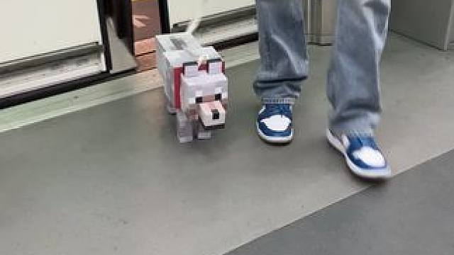 地铁上遇到真狗了~~ #我的世界minecraft  #玩个很新的东西
